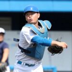 レス1番のリンク先のサムネイル画像