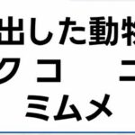 レス8番の画像1