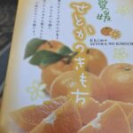 レス34番の画像1