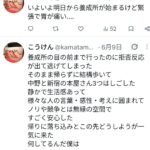 レス4番の画像1