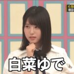レス3番の画像4