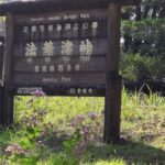 レス20番の画像1